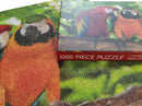 1000 Piece Jigsaw - Pair of Macaws - SpectrumStore SG