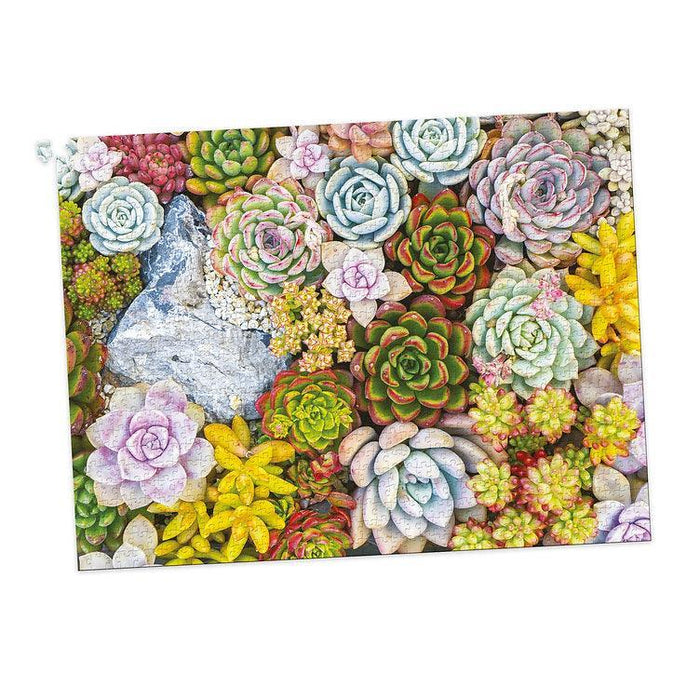 succulent spectrum puzzle 1000 Pieces Jigsaw In A Tube - Succulents