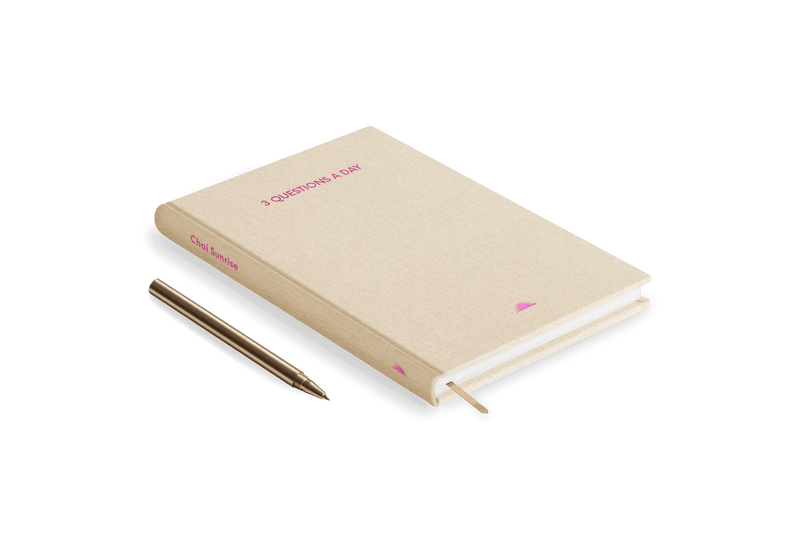 3 Questions a Day Journal - Pink - SpectrumStore SG