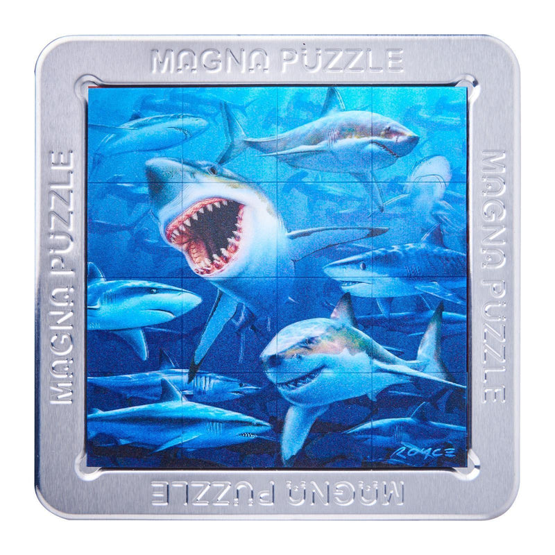 3D Magna Puzzles - SpectrumStore SG