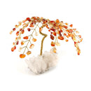 5 Inch Gemtree - SpectrumStore SG