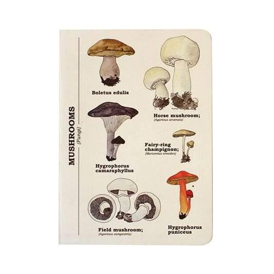 A6 Notebook: Multi Mushrooms - SpectrumStore SG