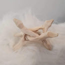 Abalone Shell with Stand - SpectrumStore SG