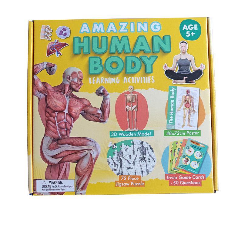 Amazing Human Body - Activity Box Set - SpectrumStore SG