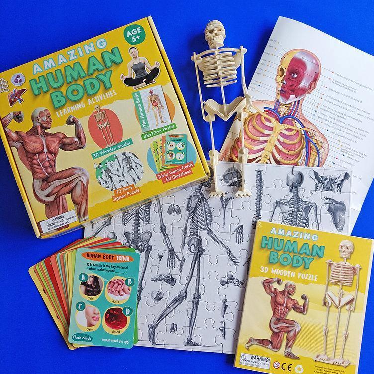 Amazing Human Body - Activity Box Set - SpectrumStore SG