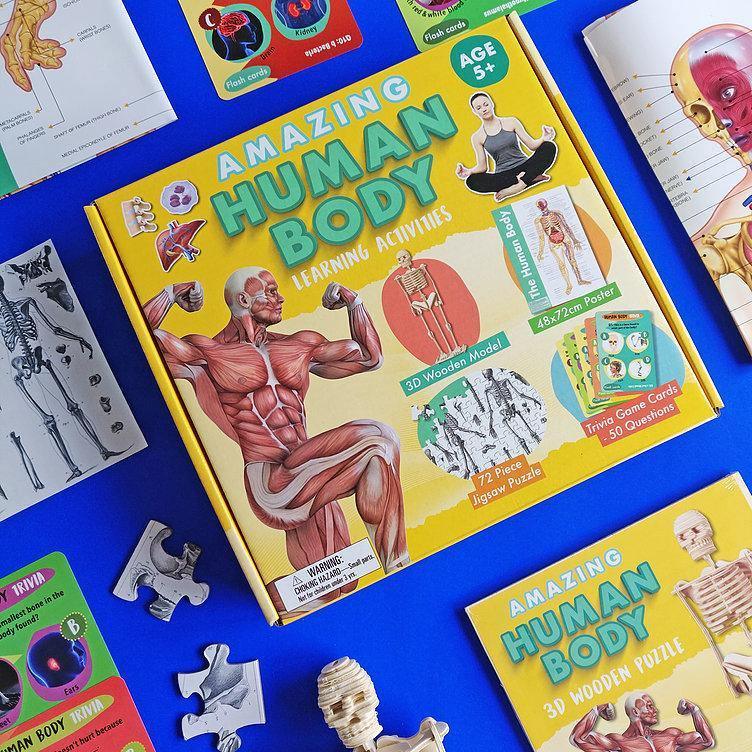 Amazing Human Body - Activity Box Set - SpectrumStore SG