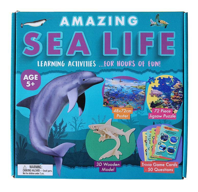 Amazing Sea Life - Activity Box Set - SpectrumStore SG