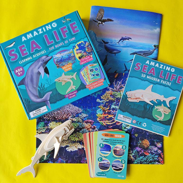Amazing Sea Life - Activity Box Set - SpectrumStore SG