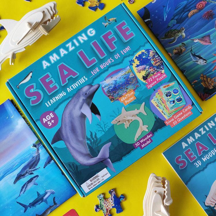 Amazing Sea Life - Activity Box Set - SpectrumStore SG