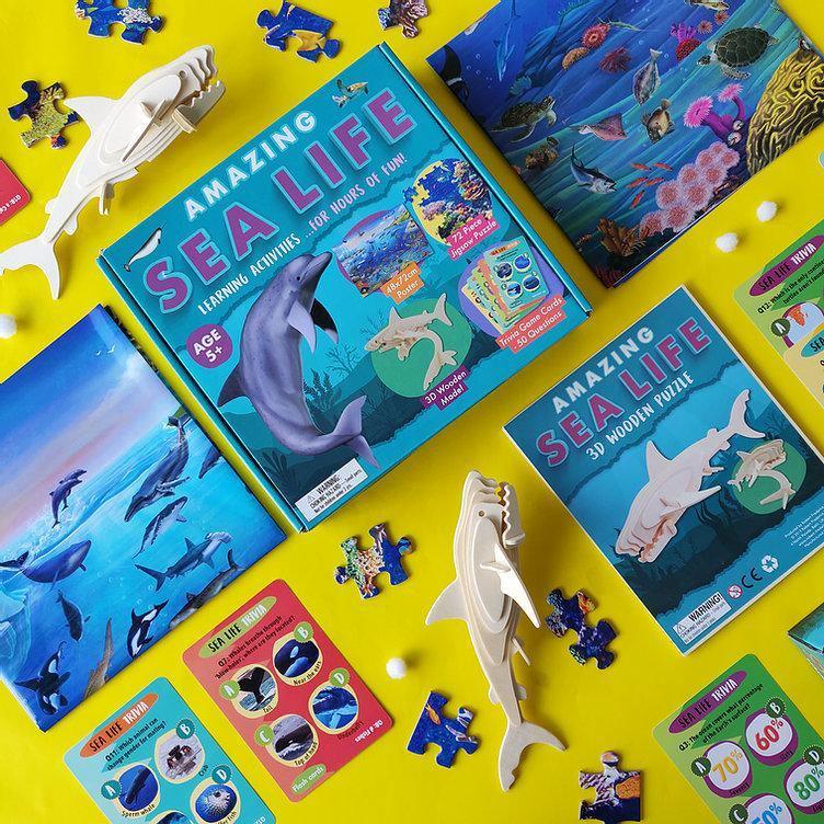 Amazing Sea Life - Activity Box Set - SpectrumStore SG