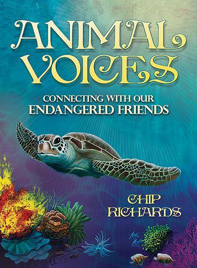 Animal Voices Oracle Cards - SpectrumStore SG