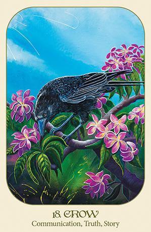 Animal Voices Oracle Cards - SpectrumStore SG