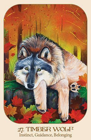 Animal Voices Oracle Cards - SpectrumStore SG