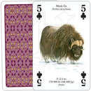 Animals of North America - SpectrumStore SG