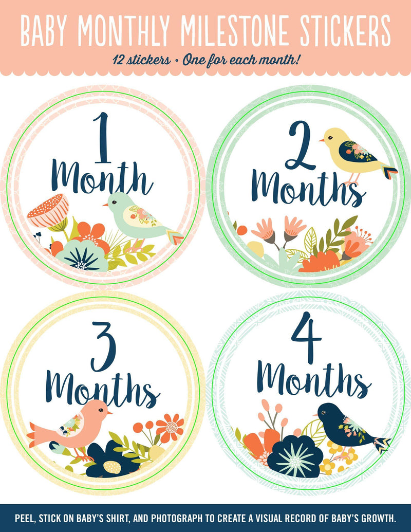 Baby Monthly Milestone Stickers - Birds - SpectrumStore SG