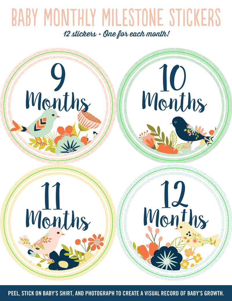 Baby Monthly Milestone Stickers - Birds - SpectrumStore SG