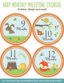 Baby Monthly Milestone Stickers - Woodland Friends - SpectrumStore SG