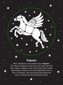 Bedtime Shadow Book - The Night Sky - SpectrumStore SG