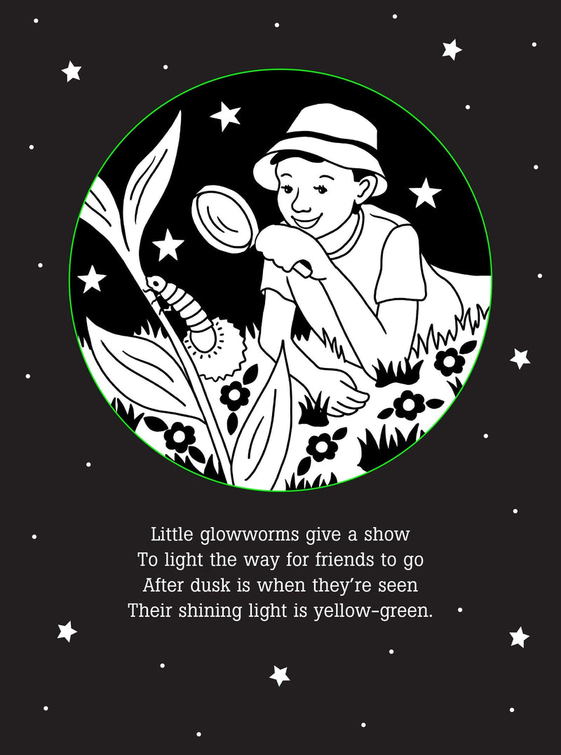 Bedtime Shadow Book - Things That Glow - SpectrumStore SG