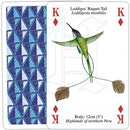 Birds of the World - SpectrumStore SG