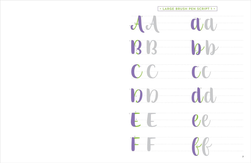 Brush Lettering Workbook - SpectrumStore SG