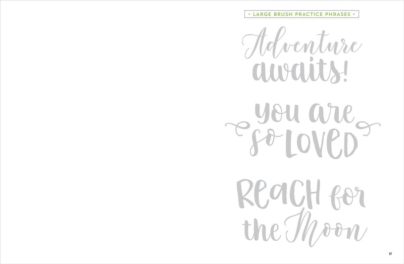 Brush Lettering Workbook - SpectrumStore SG