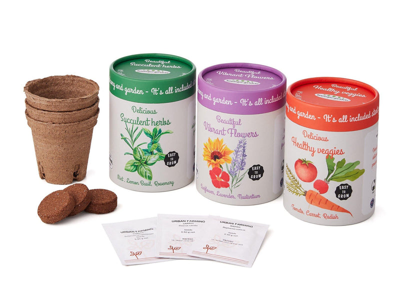 Canister Collection: Flowers (Nasturtium, Sunflower, Lavender) - SpectrumStore SG