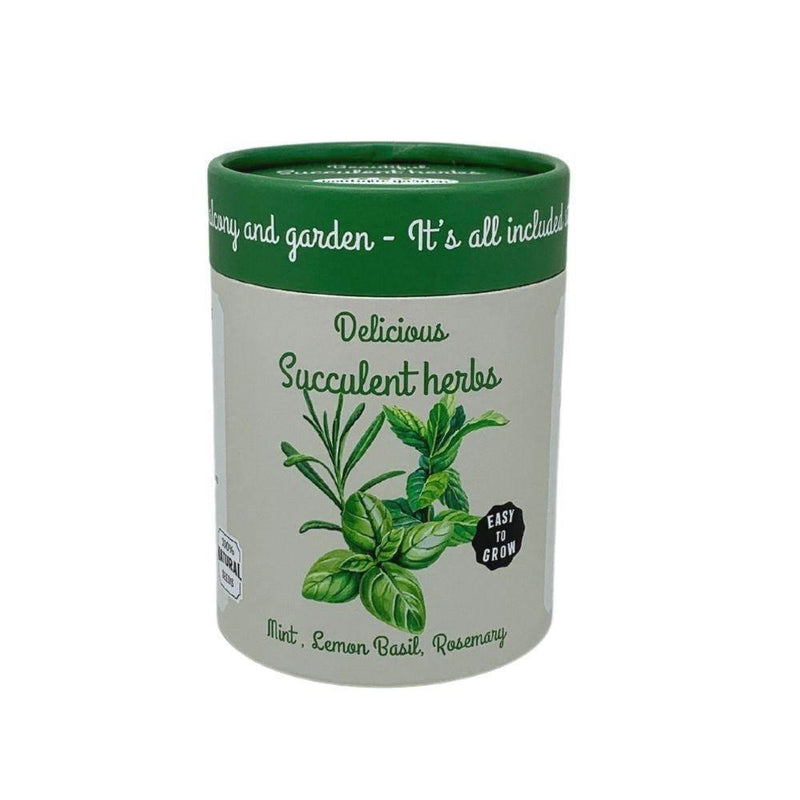 Canister Collection: Kitchen Herbs (Basil, Mint, Rosemary) - SpectrumStore SG