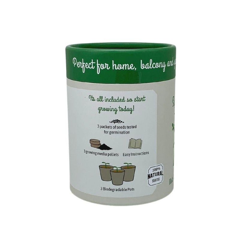 Canister Collection: Kitchen Herbs (Basil, Mint, Rosemary) - SpectrumStore SG