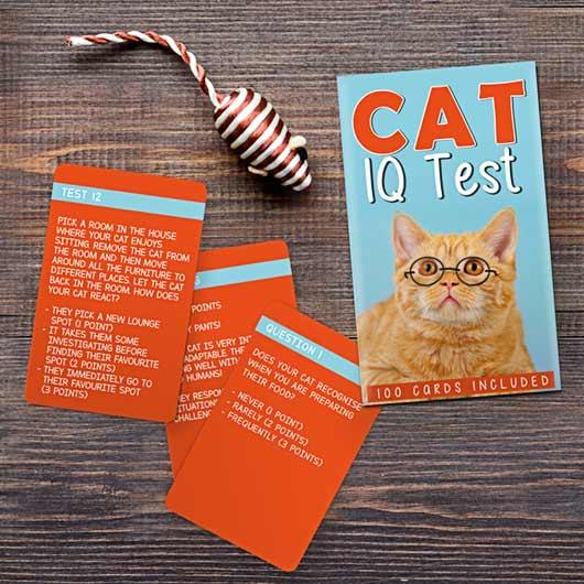 Cat IQ Test Trivia - SpectrumStore SG