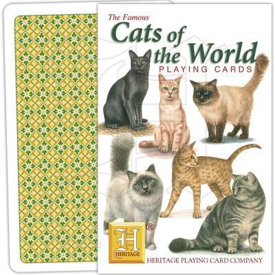 Cats - SpectrumStore SG