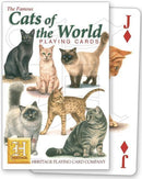 Cats - SpectrumStore SG