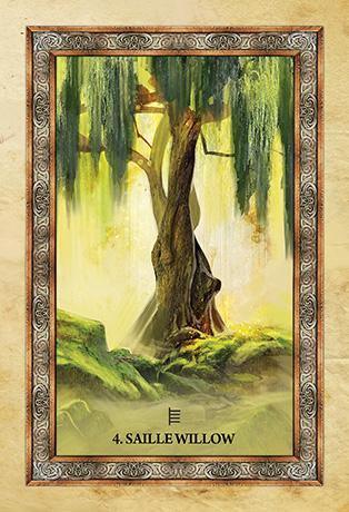 Celtic Tree Oracle - SpectrumStore SG