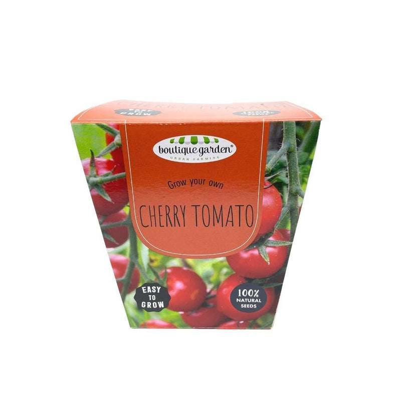 Ceramic Pot - Cherry Tomato - SpectrumStore SG