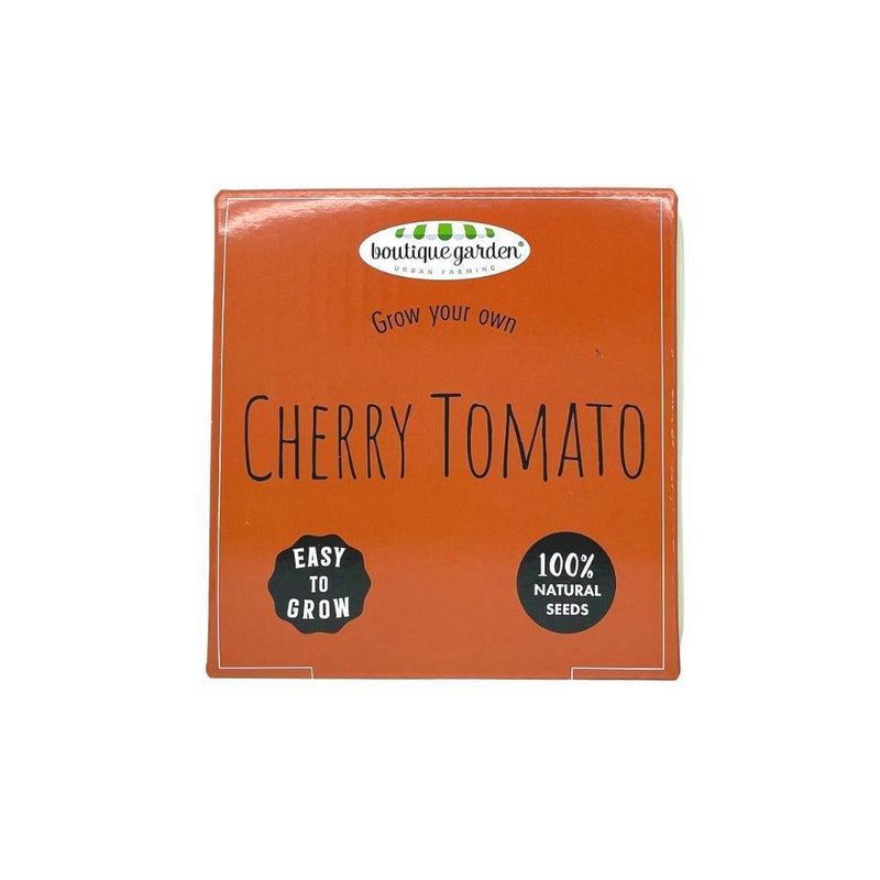 Ceramic Pot - Cherry Tomato - SpectrumStore SG