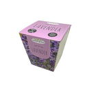 Ceramic Pot - Lavender - SpectrumStore SG