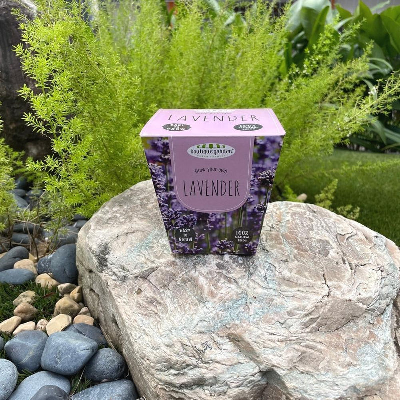Ceramic Pot - Lavender - SpectrumStore SG