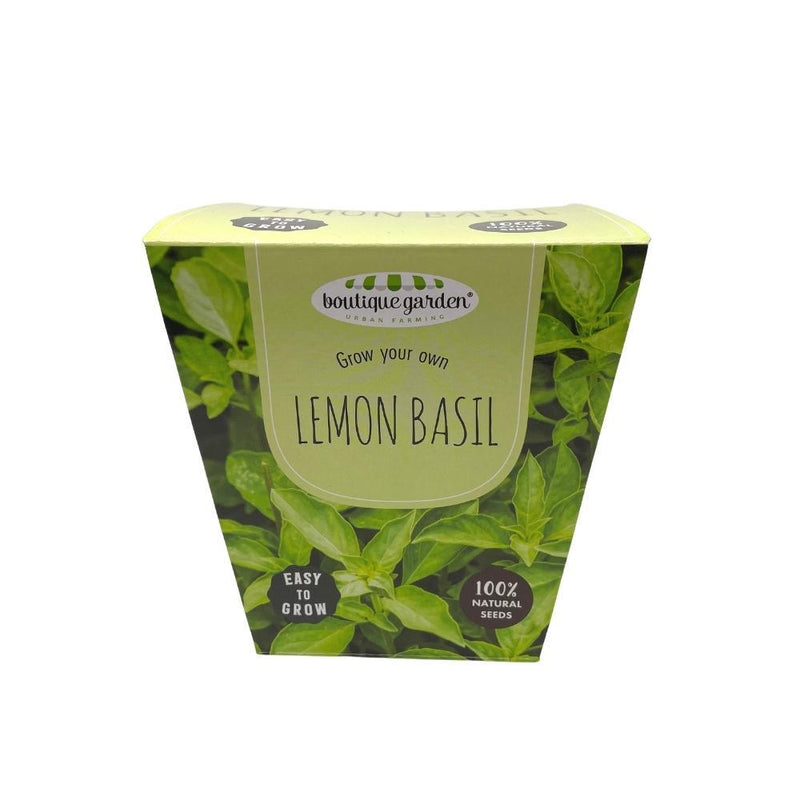 Ceramic Pot - Lemon Basil - SpectrumStore SG