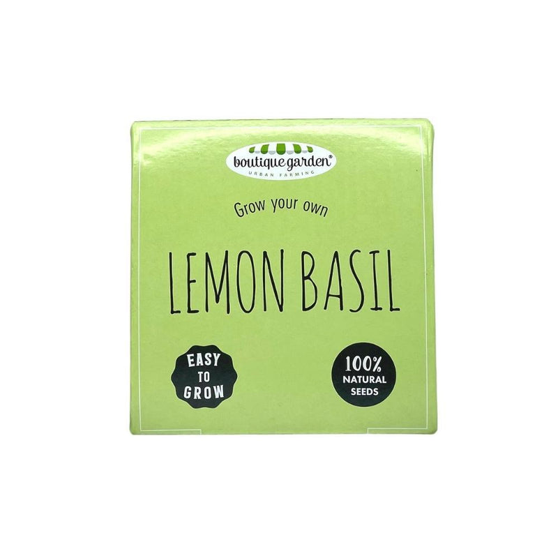 Ceramic Pot - Lemon Basil - SpectrumStore SG