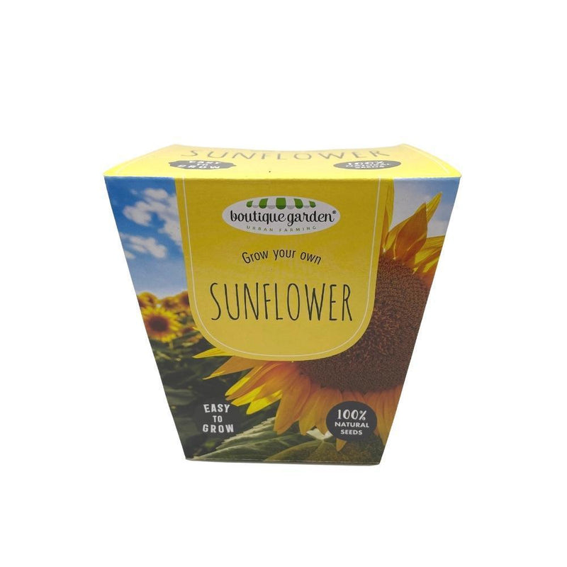 Ceramic Pot - Sunflower - SpectrumStore SG