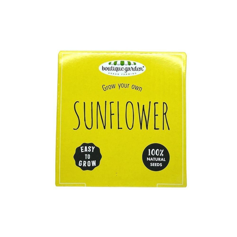 Ceramic Pot - Sunflower - SpectrumStore SG