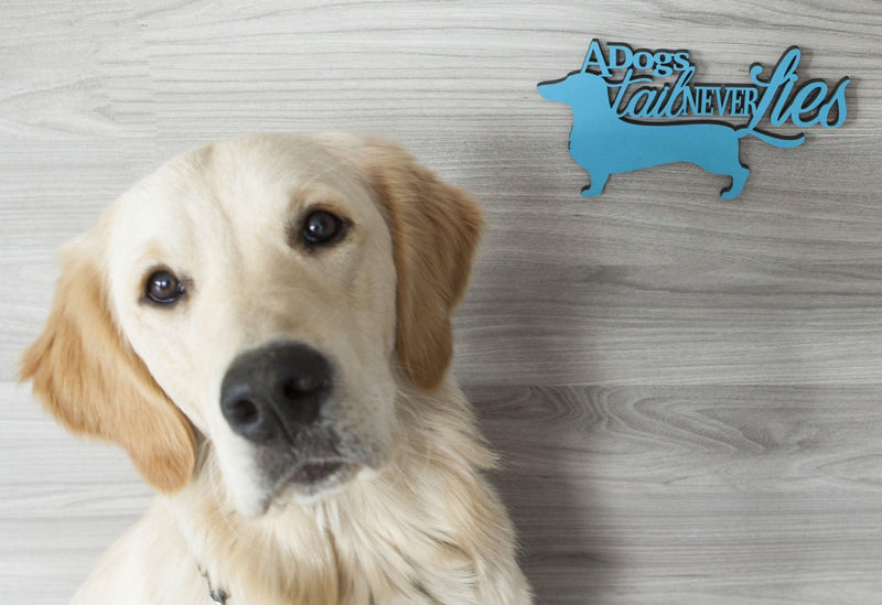 Chatter Wall: DOGS TAIL - SpectrumStore SG