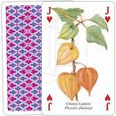 Cottage Garden - SpectrumStore SG