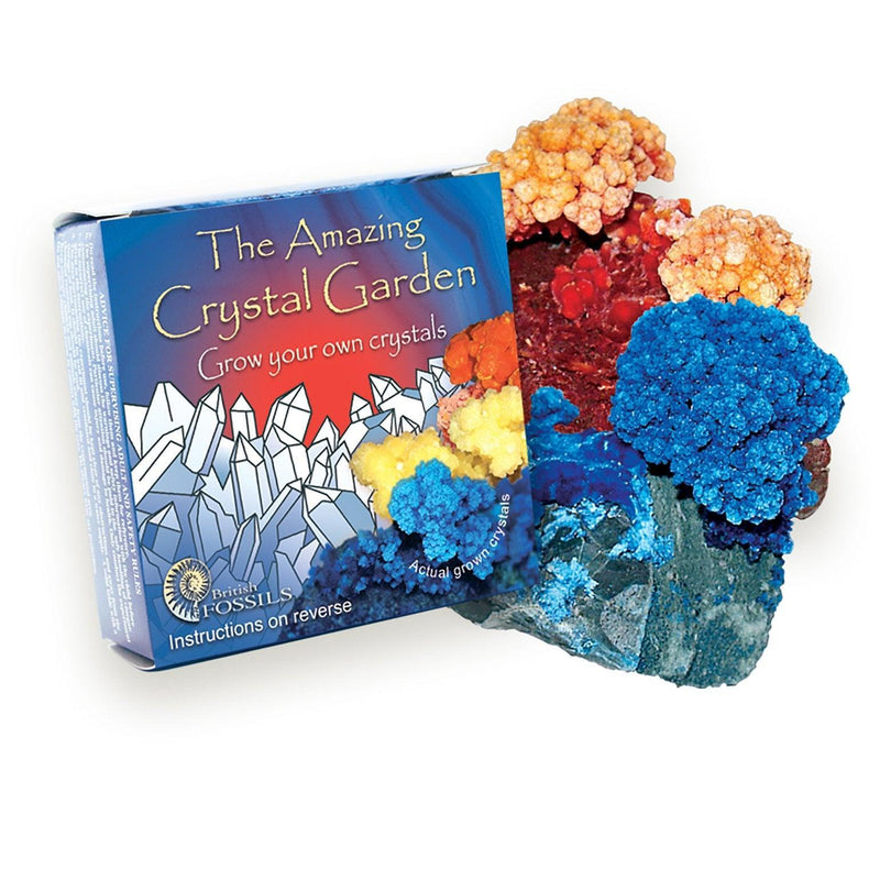 Crystal Garden - SpectrumStore SG