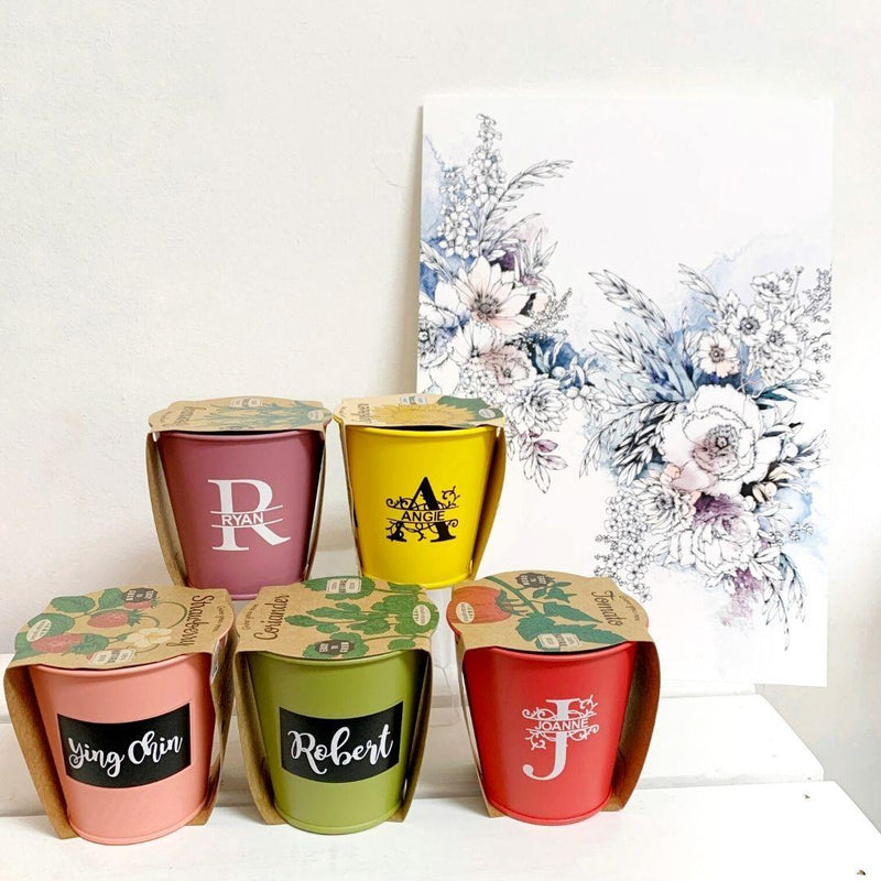 Customizable Pastel Pots - SpectrumStore SG