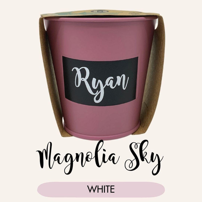 Customizable Pastel Pots - SpectrumStore SG
