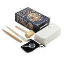 Dig Your Own Fossils (Large) - SpectrumStore SG
