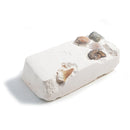 Dig Your Own Fossils - SpectrumStore SG