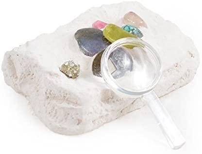 Dig Your Own Pirates Treasure - SpectrumStore SG