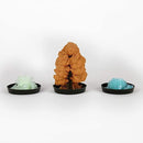 DIY Crystal Kit - SpectrumStore SG